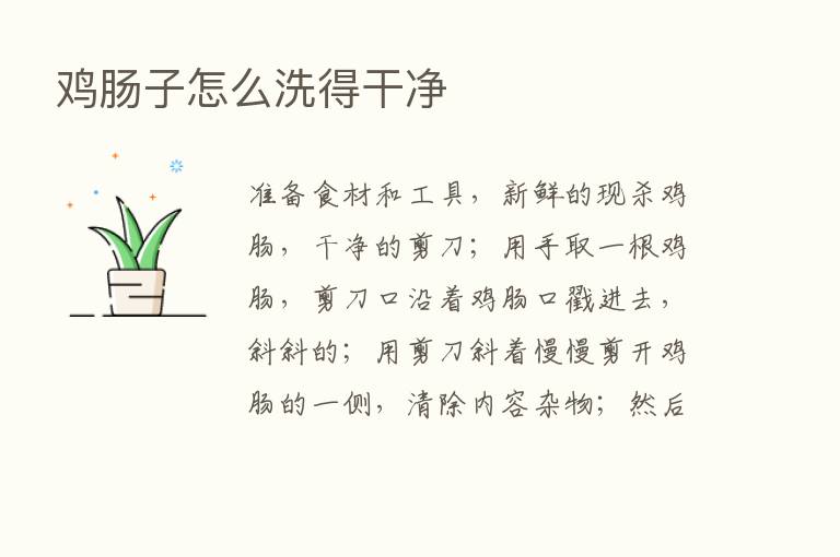 鸡肠子怎么洗得干净