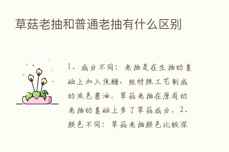 草菇老抽和普通老抽有什么区别