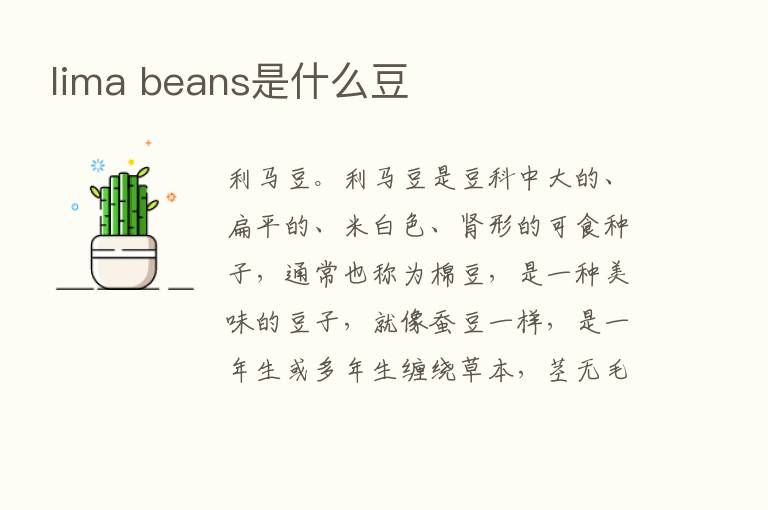 lima beans是什么豆