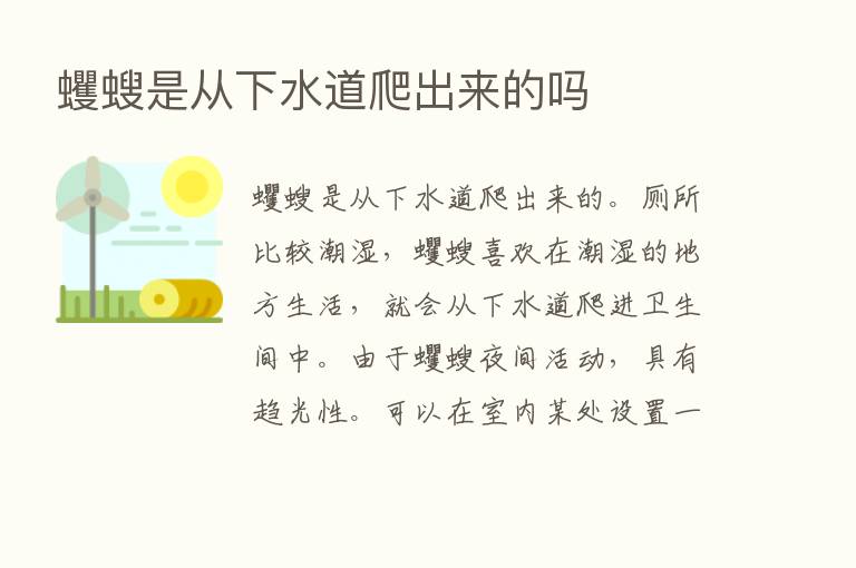 蠼螋是从下水道爬出来的吗