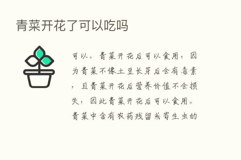 青菜开花了可以吃吗