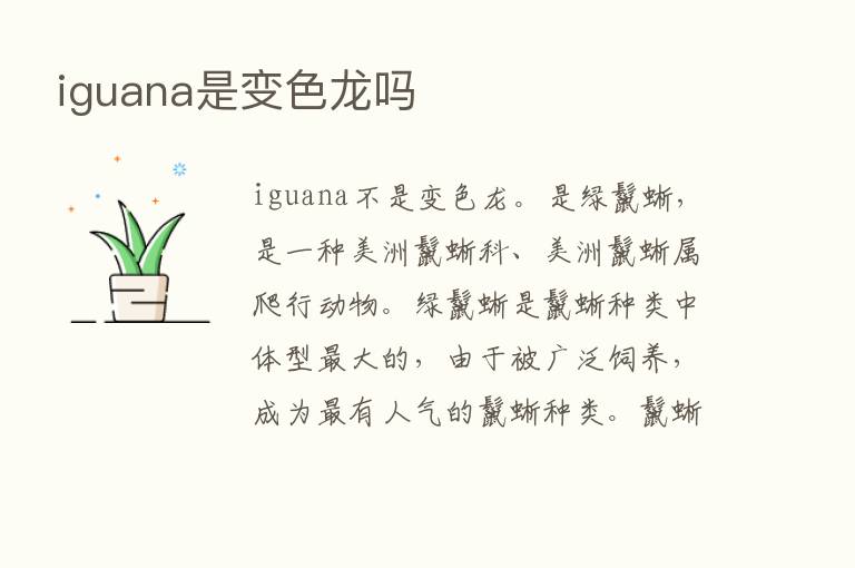 iguana是变色龙吗