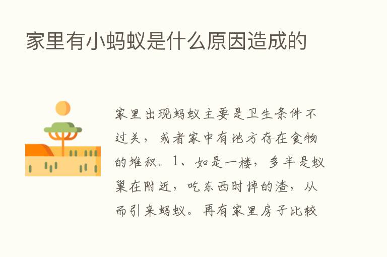 家里有小蚂蚁是什么原因造成的