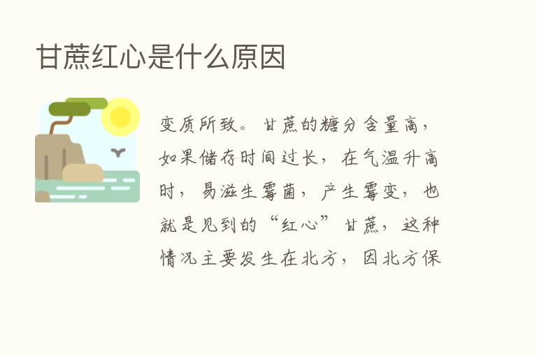 甘蔗红心是什么原因