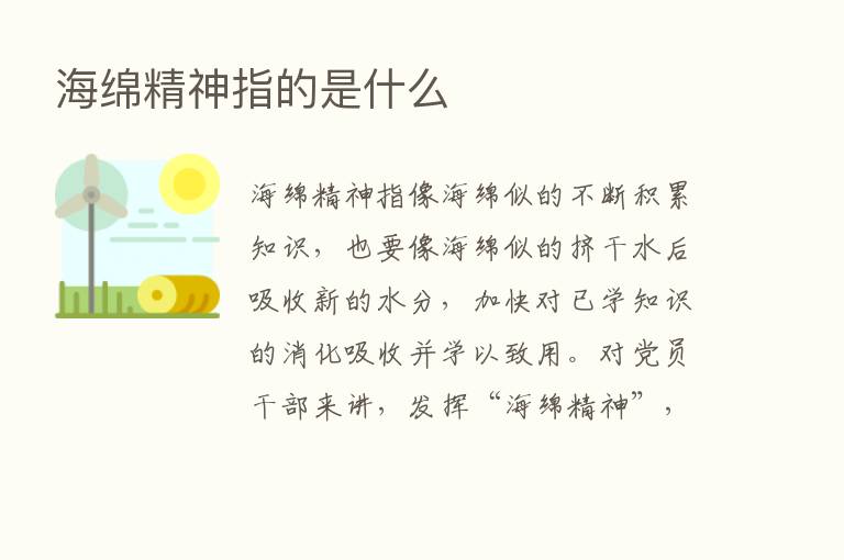 海绵精神指的是什么