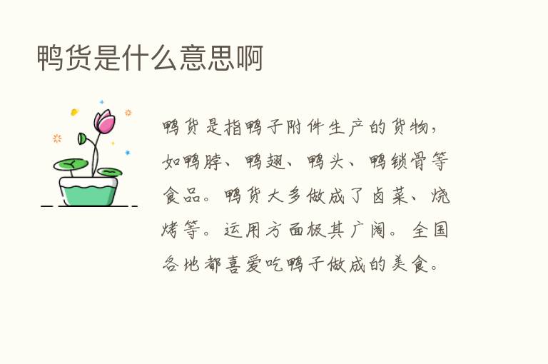 鸭货是什么意思啊