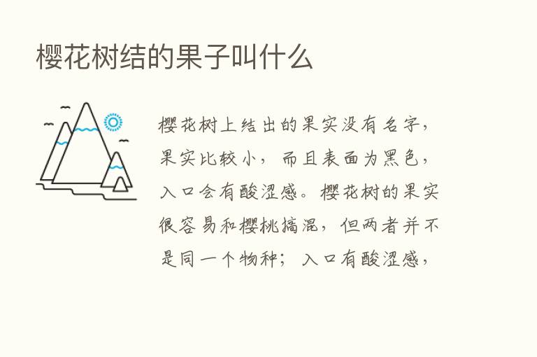 樱花树结的果子叫什么