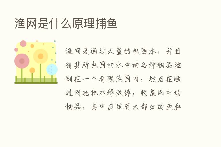 渔网是什么原理捕鱼