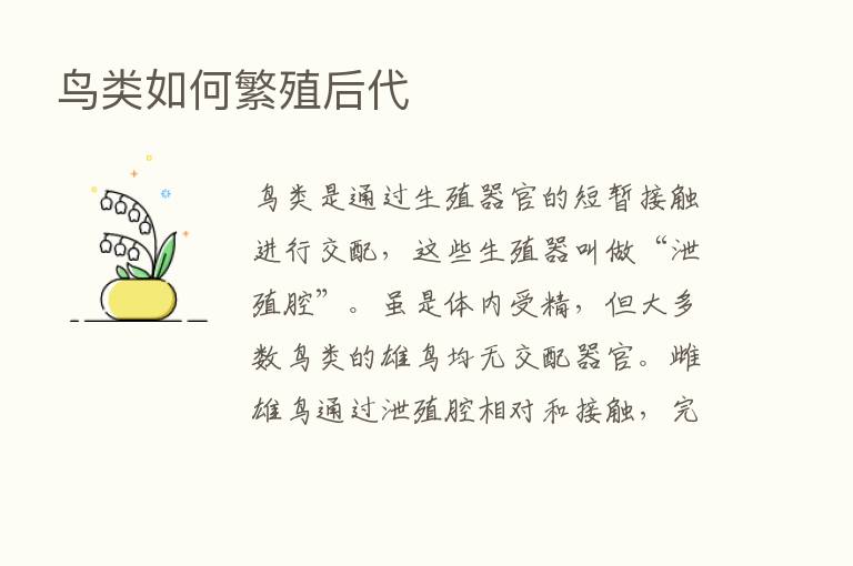 鸟类如何繁殖后代