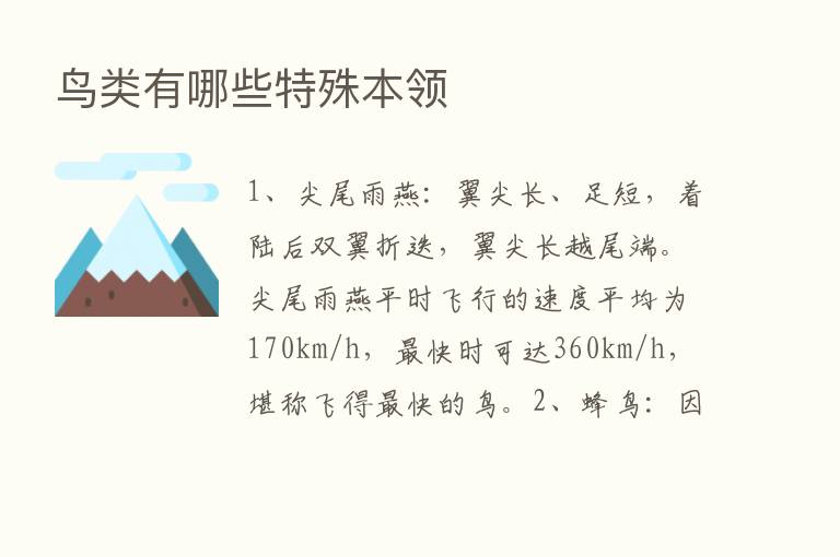 鸟类有哪些特殊本领