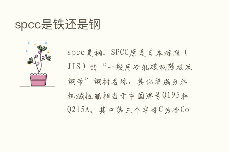 spcc是铁还是钢