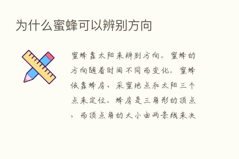 为什么蜜蜂可以辨别方向