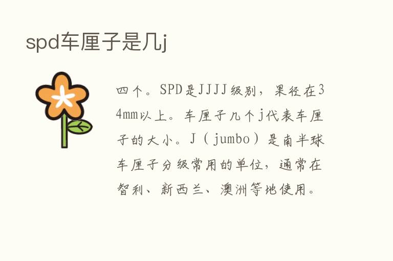 spd车厘子是几j