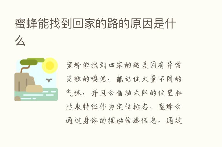 蜜蜂能找到回家的路的原因是什么