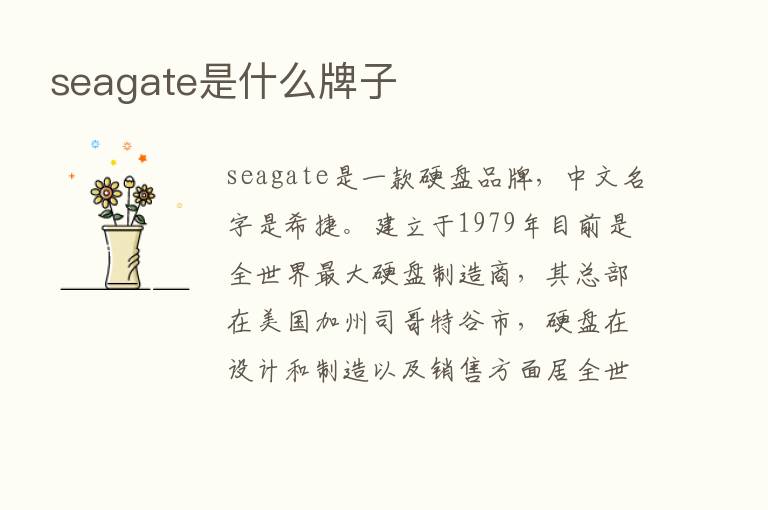 seagate是什么牌子