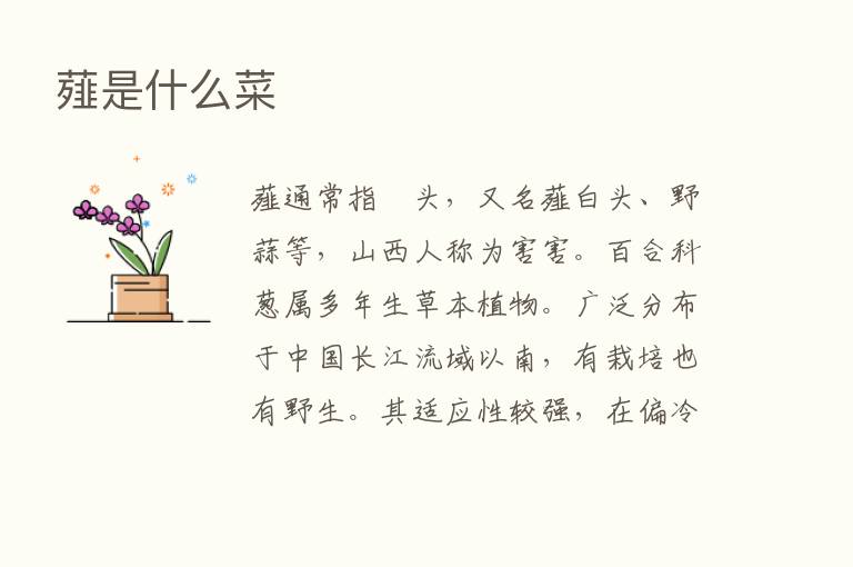 薤是什么菜