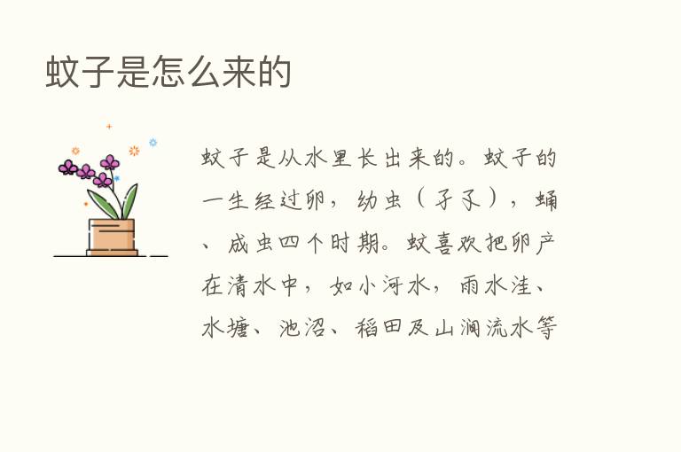 蚊子是怎么来的