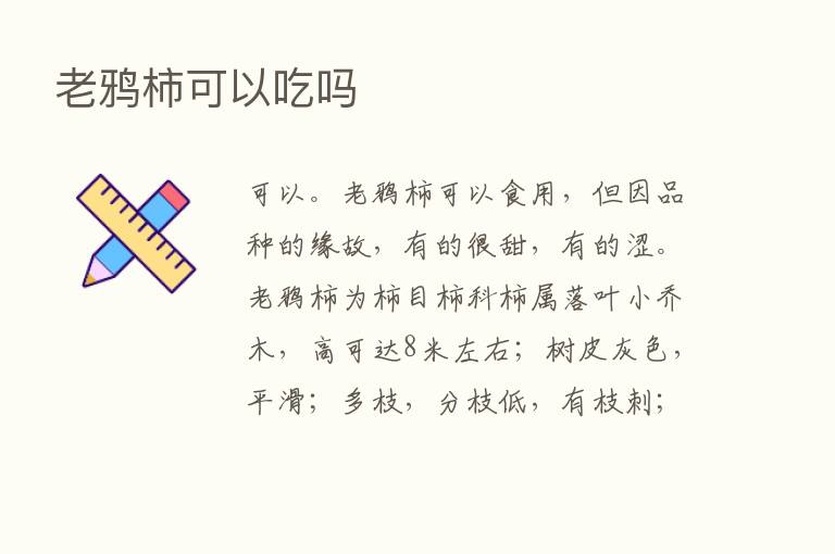 老鸦柿可以吃吗