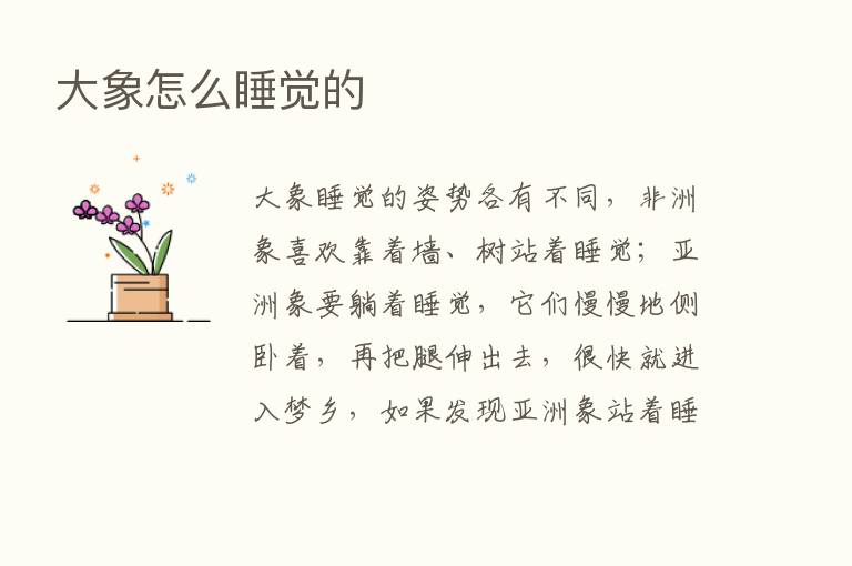 大象怎么睡觉的