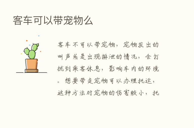 客车可以带宠物么