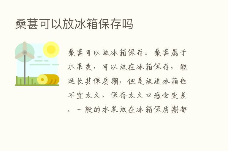 桑葚可以放冰箱保存吗