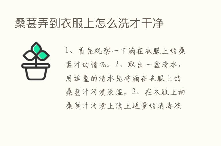 桑葚弄到衣服上怎么洗才干净