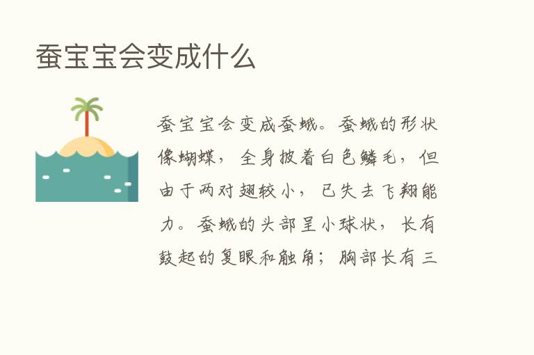 蚕宝宝会变成什么