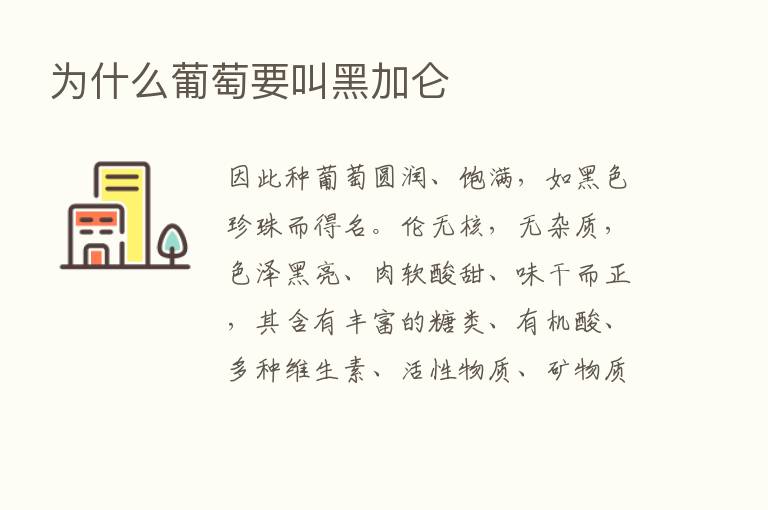 为什么葡萄要叫黑加仑