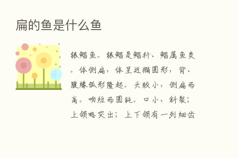 扁的鱼是什么鱼