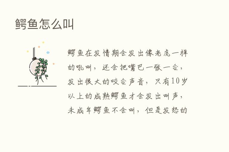 鳄鱼怎么叫