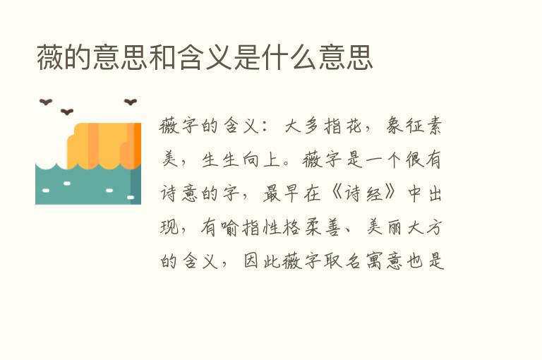 薇的意思和含义是什么意思