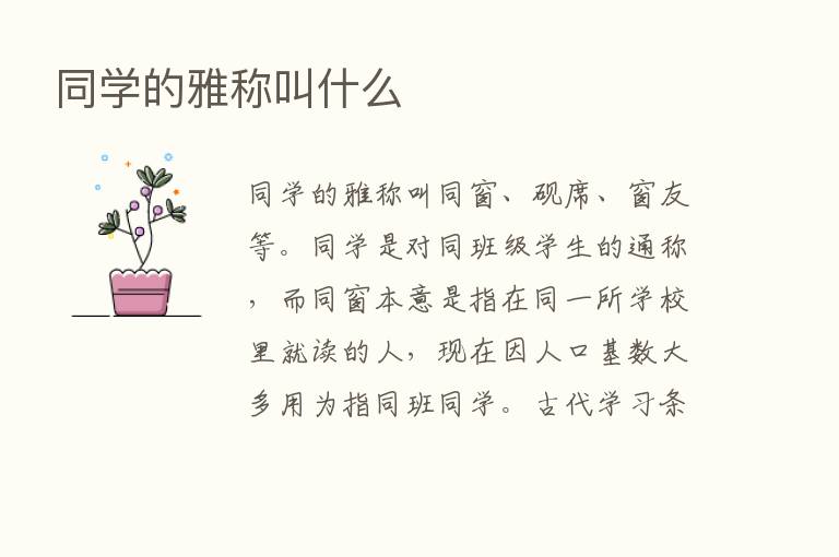 同学的雅称叫什么