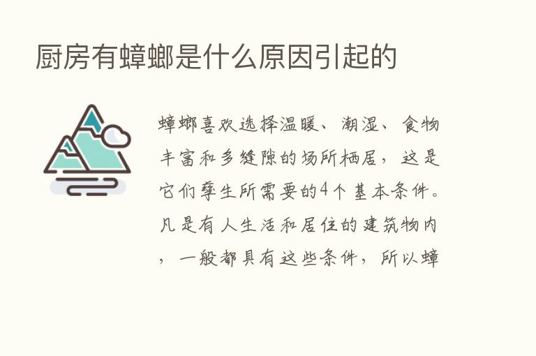 厨房有蟑螂是什么原因引起的