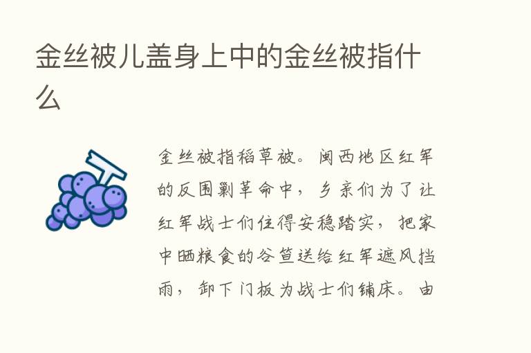 金丝被儿盖身上中的金丝被指什么