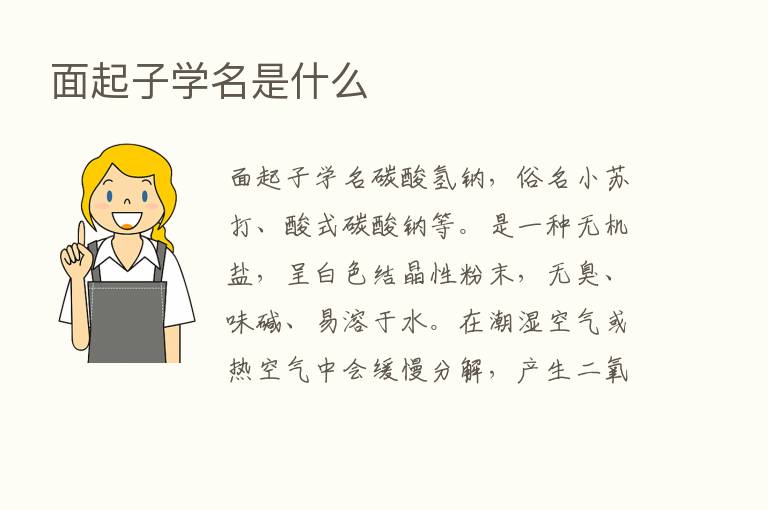 面起子学名是什么