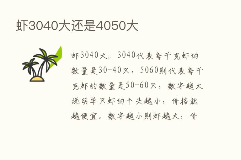 虾3040大还是4050大