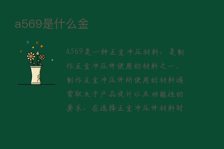 a569是什么金