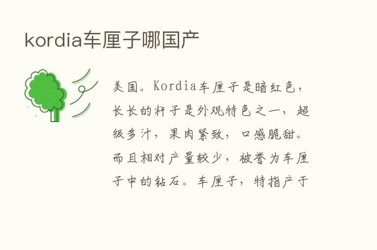 kordia车厘子哪国产