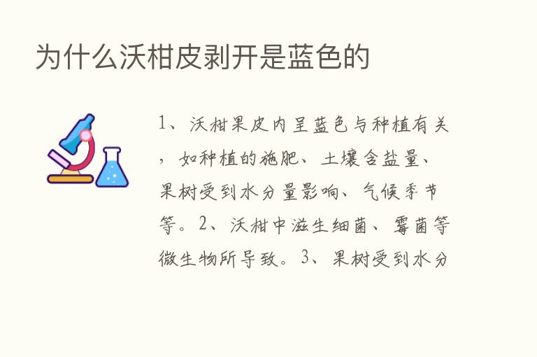 为什么沃柑皮剥开是蓝色的