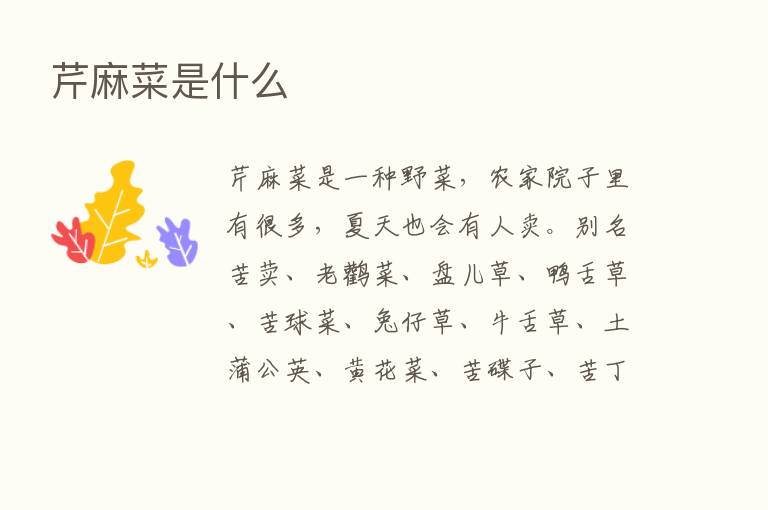 芹麻菜是什么