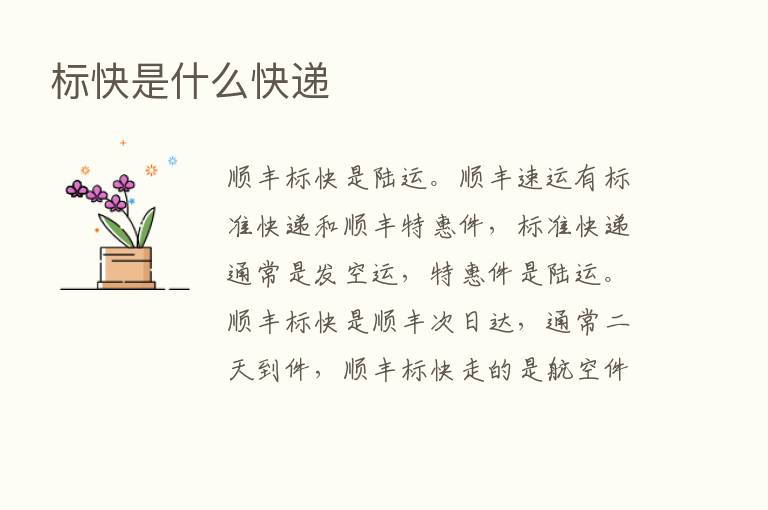 标快是什么快递