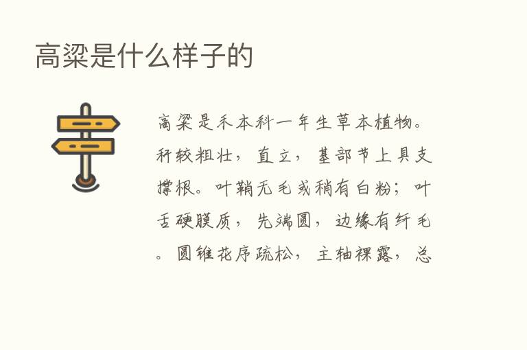 高粱是什么样子的