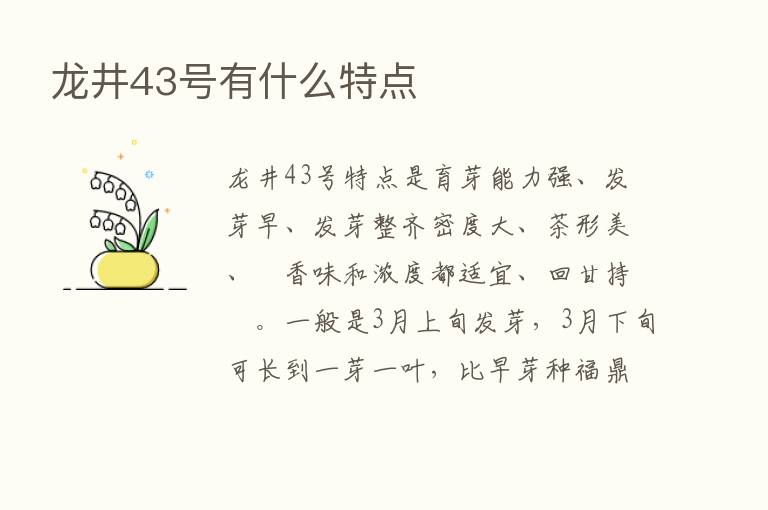 龙井43号有什么特点