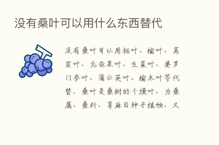 没有桑叶可以用什么东西替代