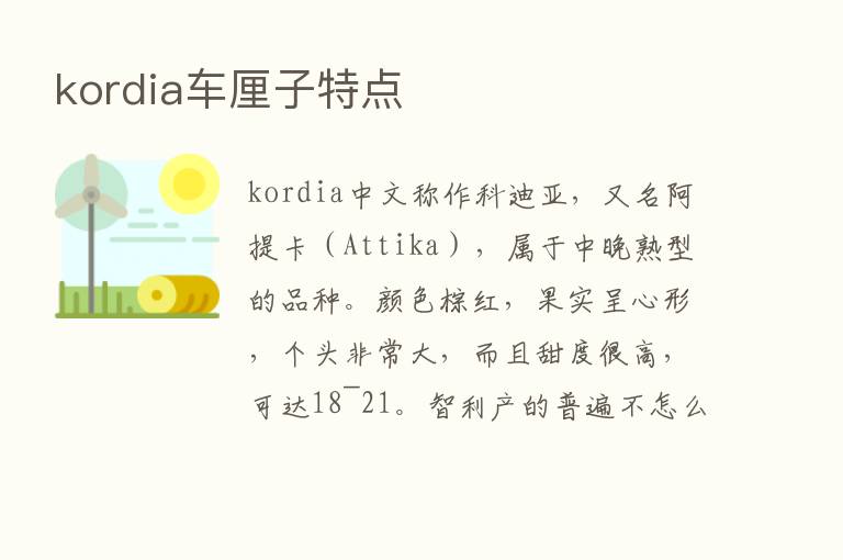 kordia车厘子特点