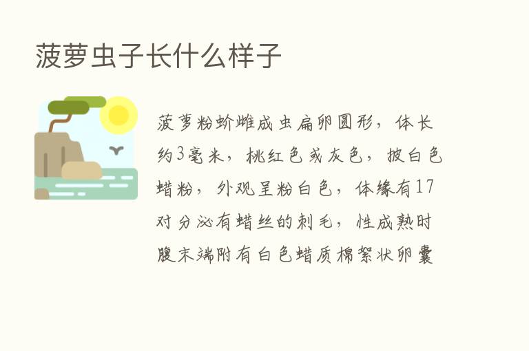 菠萝虫子长什么样子