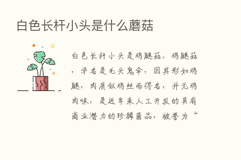 白色长杆小头是什么蘑菇