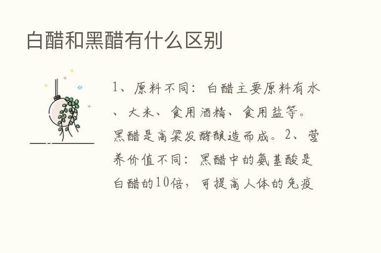 白醋和黑醋有什么区别