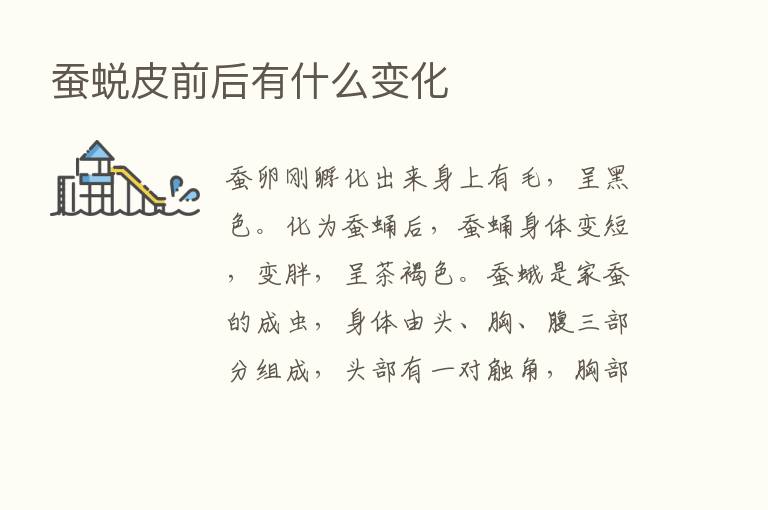 蚕蜕皮前后有什么变化