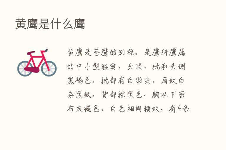 黄鹰是什么鹰